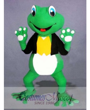 Cute Frog Mascot Costume  