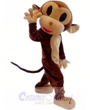 New Monkey Mascot Costume  