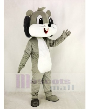 Cute Grey Squirrel Mascot Costume Animal