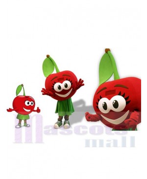 Cherry mascot costume