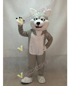 Gray Sled Wolf Dog Mascot Costume with White Belly
