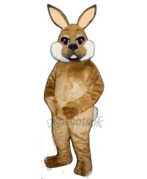 Cute Easter Brown Bunny Rabbit Mascot Costume