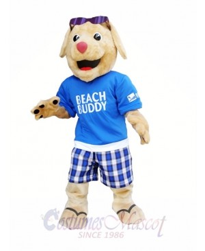 Dog with Sunglasses Mascot Costume Beach Buddy Dog Mascot Costumes Animal 