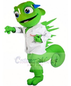 Chameleon Mascot Costumes Lizard Iguana