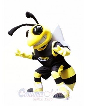 Yellow and Black Hornets Mascot Costume Hornet Insect Mascot Costumes