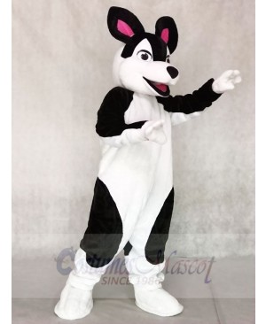 Black and White Husky Dog Mascot Costumes Animal