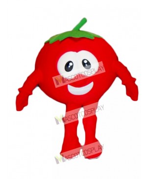 Bob the Tomato Mascot Costume from VeggieTales