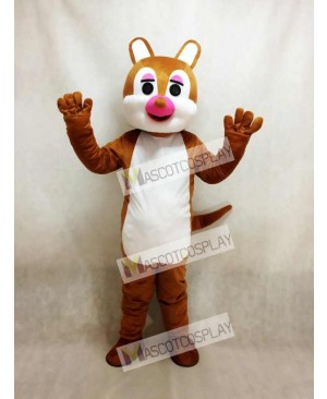 Pink Nose Squirrel Mascot Costume