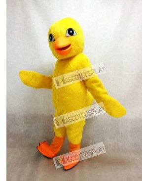 Cute Yellow Chick Mascot Costume