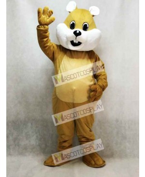 Chubby Squirrel Mascot Costume with White Belly