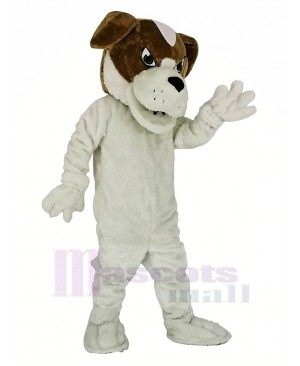 Saint Bernard Dog Mascot Costume Animal 