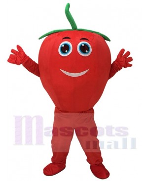 Cute Red Tomato with Smile Mascot Costume