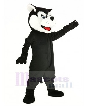 Black Bearcat Binturong Mascot Costume Animal