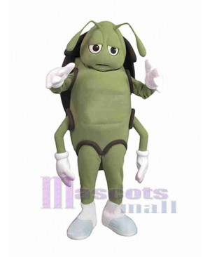 Cockroach mascot costume