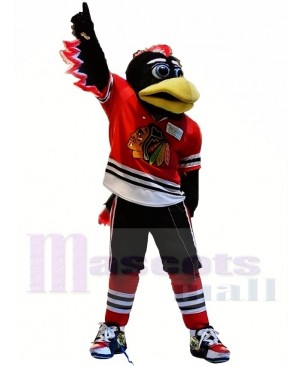 Chicago Blackhawks Tommy Hawk Mascot Costume 