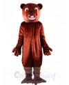 Barney Beaver Mascot Costume