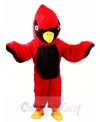 Red Cardinal Mascot Costume