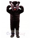 Black Panther Power Cat Mascot Costume