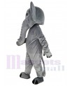 Elephant mascot costume