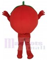Tomato mascot costume