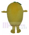 Mango mascot costume