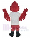Cardinal mascot costume