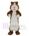 Hamster mascot costume