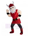 vikings mascot costume