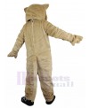 wildcat mascot costume