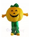 Pumpkins Plant Mascot Costumes Vegetable