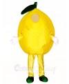 Yellow Lemon Mascot Costumes Plant