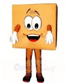 Brown Box Mascot Costumes 