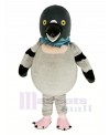 Cute Pigeon Bird Mascot Costume Animal