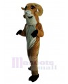 Sheep mascot costume