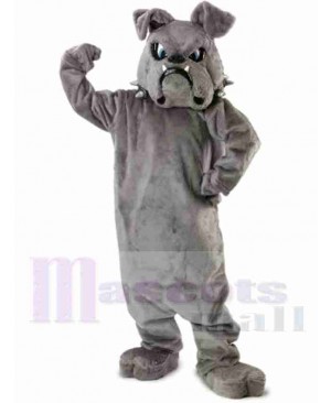 Bulldog Mascot Costume 