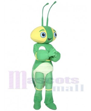 The Manty Mantis Mascot Costume Insect