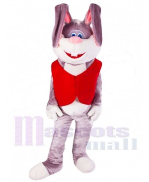 Long-eared Bunny Rabbit Mascot Costume Animal