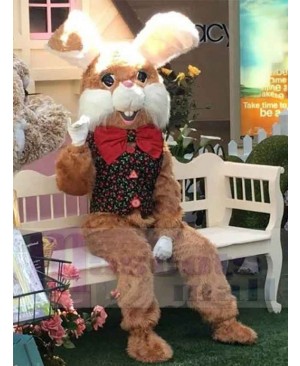 Brown Furry Easter Bunny Mascot Costume Animal