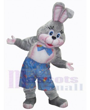 Leisurely Grey Easter Bunny Mascot Costume Animal