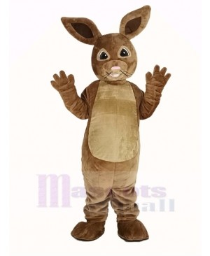 Peter Rabbit Mascot Costume