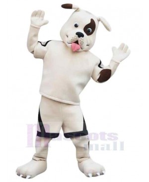 Pirate White Dog Mascot Costume Animal