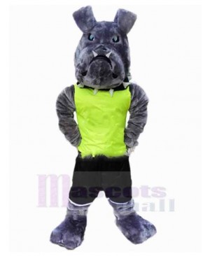Grey American Bulldog Mascot Costume Animal in Green Vest