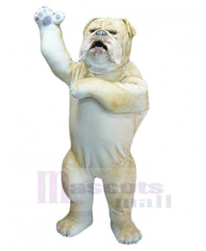 Wild Bulldog Mascot Costume Animal Adult