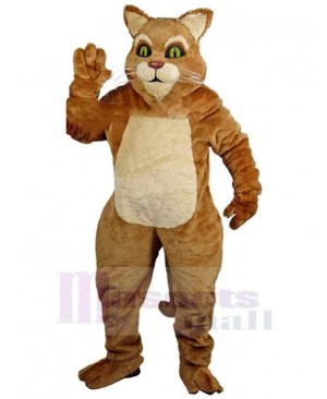 Deluxe House Cat Mascot Costume Animal