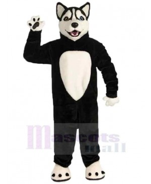Happy Black Wolf Mascot Costume Animal with White Belly