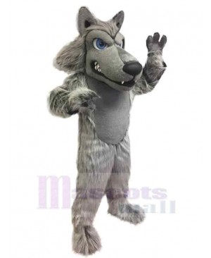 Fierce Grey Wolf Mascot Costume Animal with Blue Eyes