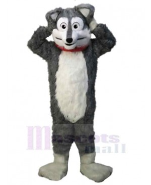 Cute Cartoon Gray Wolf Mascot Costume Animal