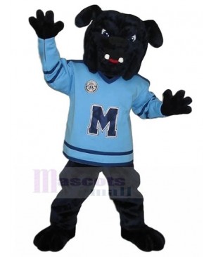 Black Sports Bulldog Mascot Costume in Blue Sweater Animal