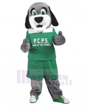 Patriots School Grey Dog Mascot Costume in Green Shirt Animal