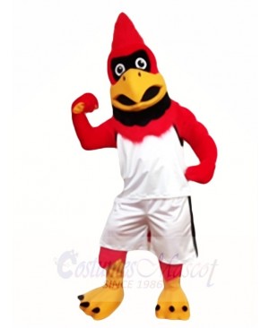 Cardinal Red Bird Mascot Costumes Animal